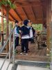 IMG_7967.jpeg
